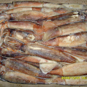 Frozen BQF 150 200g illex argentinus squid giá